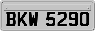 BKW5290