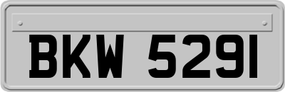 BKW5291