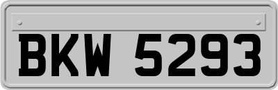 BKW5293