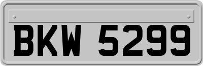 BKW5299