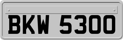 BKW5300