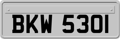 BKW5301