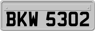 BKW5302