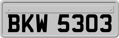 BKW5303