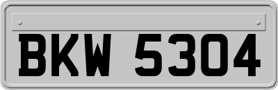 BKW5304