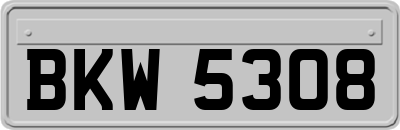 BKW5308