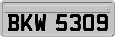 BKW5309
