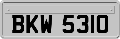 BKW5310