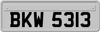 BKW5313