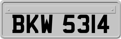 BKW5314