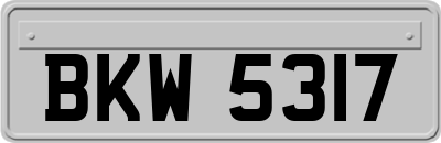 BKW5317