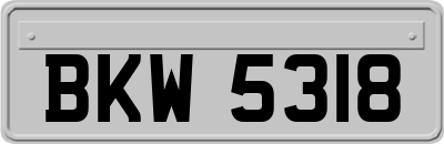 BKW5318