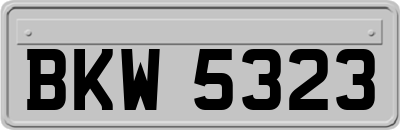 BKW5323