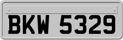 BKW5329