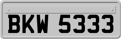 BKW5333