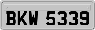 BKW5339