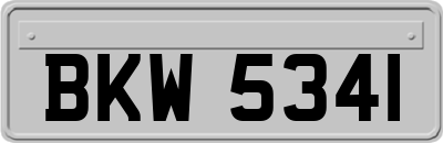 BKW5341