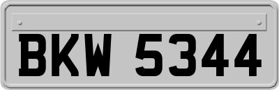 BKW5344