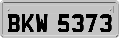 BKW5373