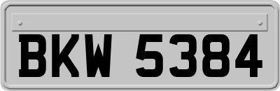 BKW5384
