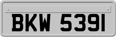 BKW5391