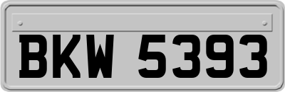 BKW5393