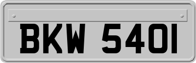 BKW5401