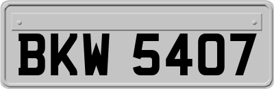 BKW5407