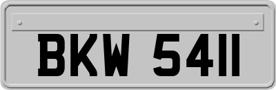 BKW5411