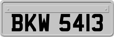 BKW5413