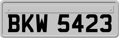 BKW5423