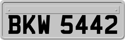 BKW5442