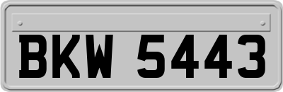 BKW5443