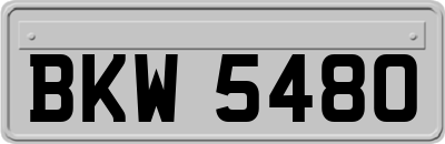 BKW5480