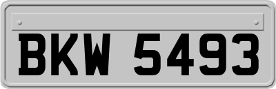 BKW5493