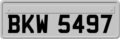 BKW5497