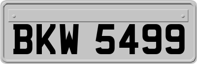 BKW5499