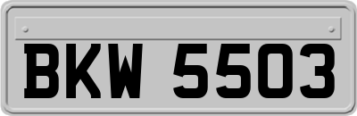 BKW5503