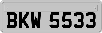 BKW5533