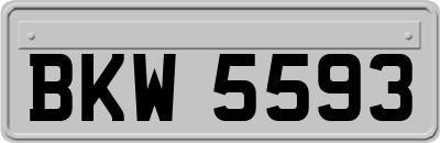 BKW5593