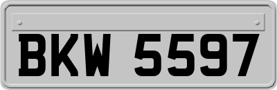 BKW5597