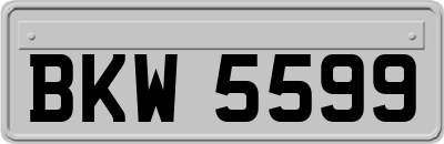 BKW5599