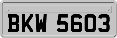 BKW5603