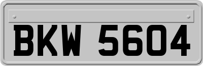 BKW5604