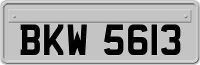 BKW5613