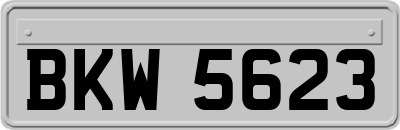 BKW5623