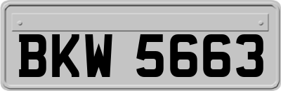 BKW5663