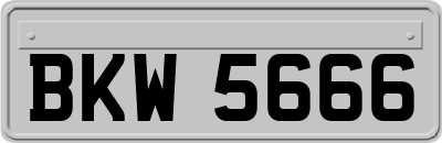 BKW5666