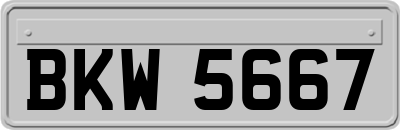 BKW5667