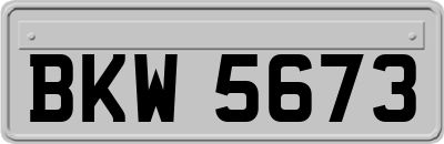 BKW5673